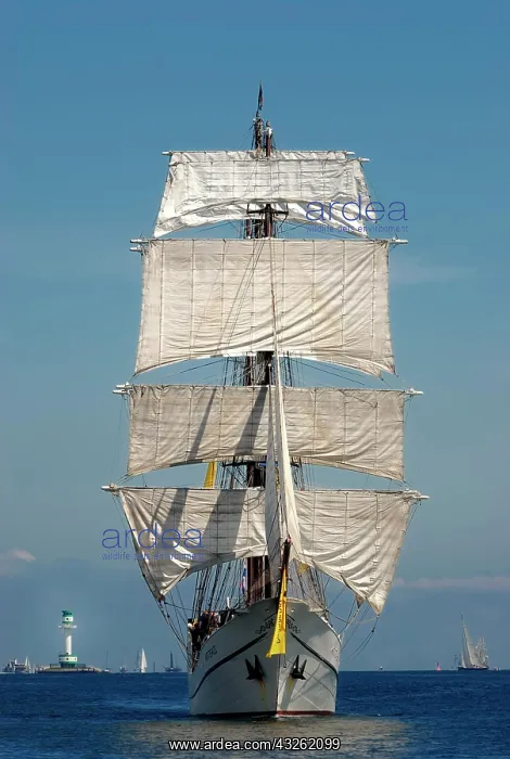 : Fully rigged three-masted barque, traditional sailing : Fully rigged three-masted barque, traditional sailing