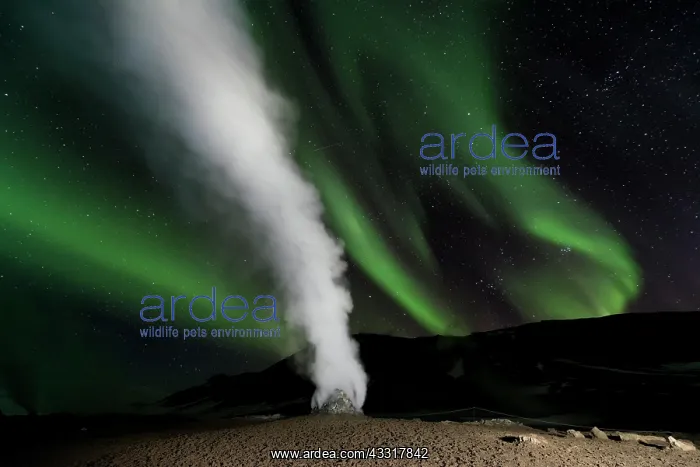 : Fumarole, Hverir Geothermal Area, Northern Lights : Fumarole, Hverir Geothermal Area, Northern Lights