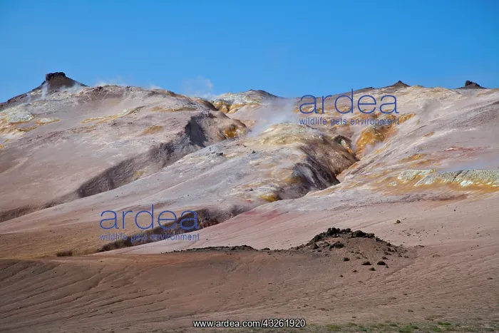 : Fumaroles in a highly active geothermal : Fumaroles in a highly active geothermal