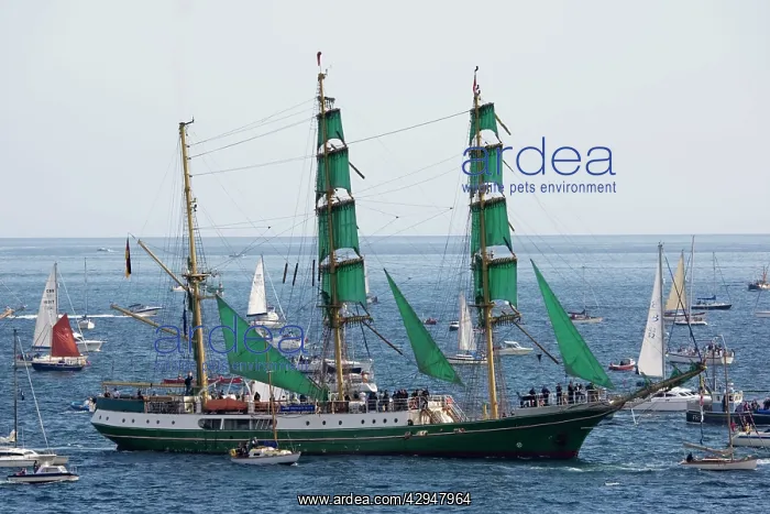 : Funchal 500 Tall Ships Regatta - Alexander von Humboldt : Funchal 500 Tall Ships Regatta - Alexander von Humboldt
