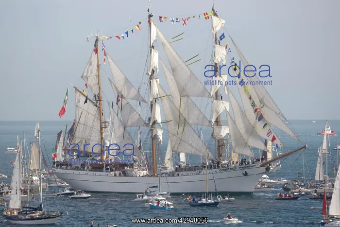 : Funchal 500 Tall Ships Regatta - Cuauhtemoc three : Funchal 500 Tall Ships Regatta - Cuauhtemoc three