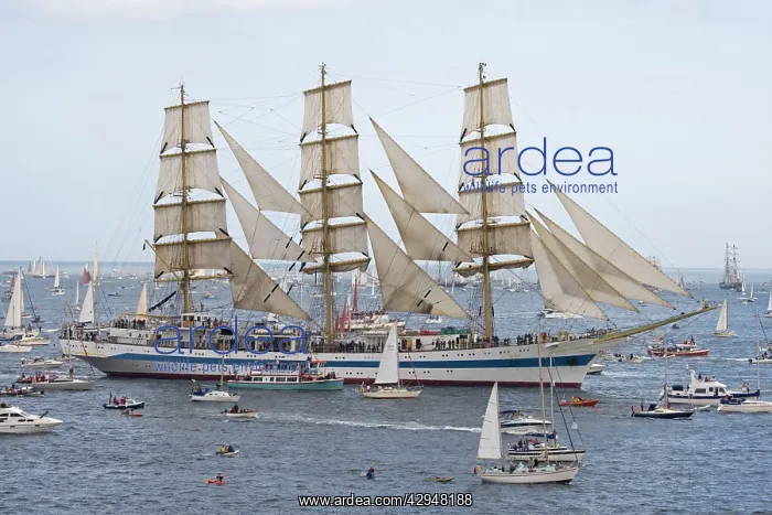: Funchal 500 Tall Ships Regatta - Mir square rigged : Funchal 500 Tall Ships Regatta - Mir square rigged
