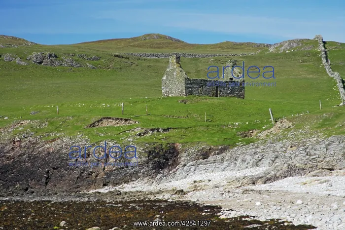  : Funzie Bay with derelict croft