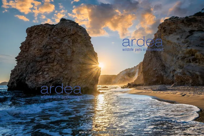 : Fyriplaka beach and waves of Aegean sea on sunset : Fyriplaka beach and waves of Aegean sea on sunset