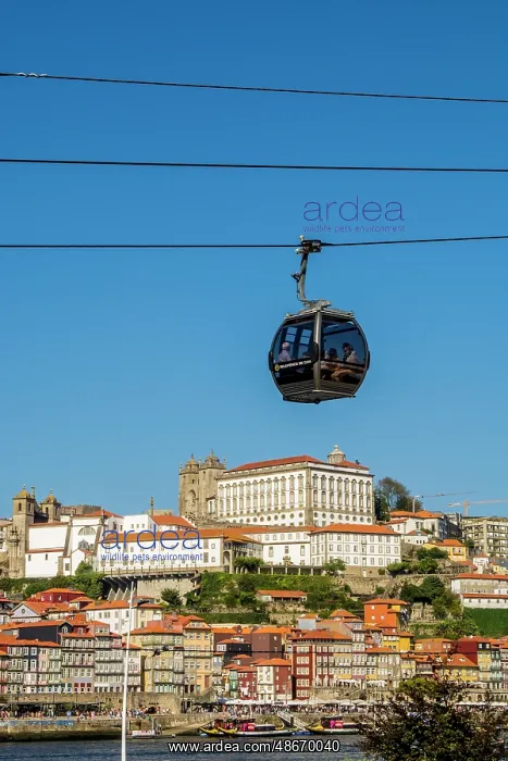 : Gaia Cable Car, Gaia district, Porto, Portugal. (Editorial : Gaia Cable Car, Gaia district, Porto, Portugal. (Editorial