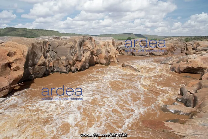 : Galana River Lugards Falls : Galana River Lugards Falls