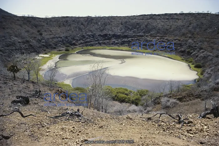 : Galapagos Salt Crater : Galapagos Salt Crater