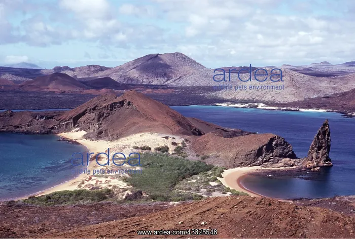 : GALAPAGOS - view of Pinnacle Rock : GALAPAGOS - view of Pinnacle Rock