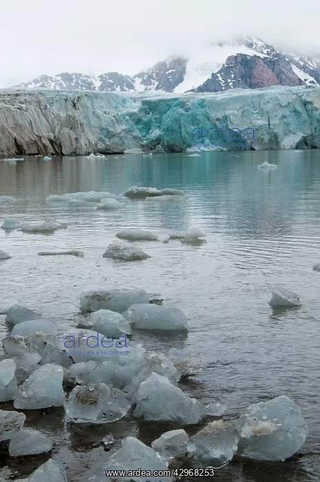 : Galcier - ice in sea in foreground : Galcier - ice in sea in foreground