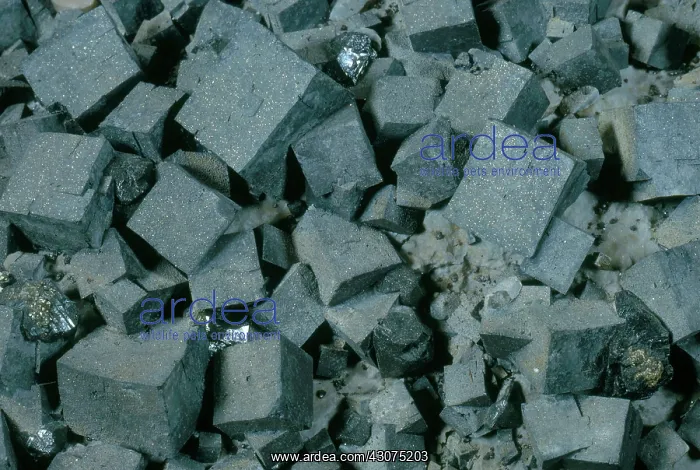: Galena from the Mid-continent Mine in Treece, Kansas : Galena from the Mid-continent Mine in Treece, Kansas