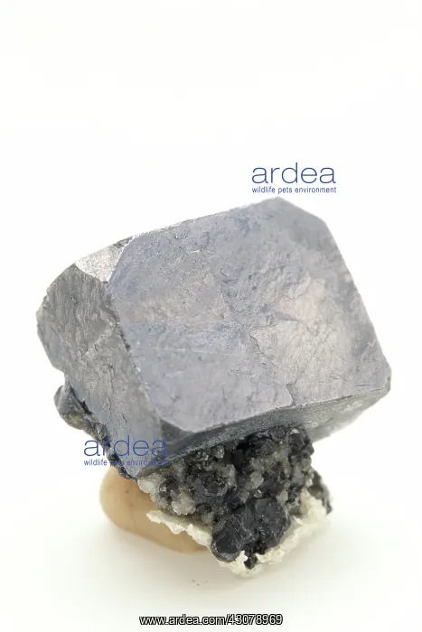  : Galena (Galenite) or Lead Sulfide