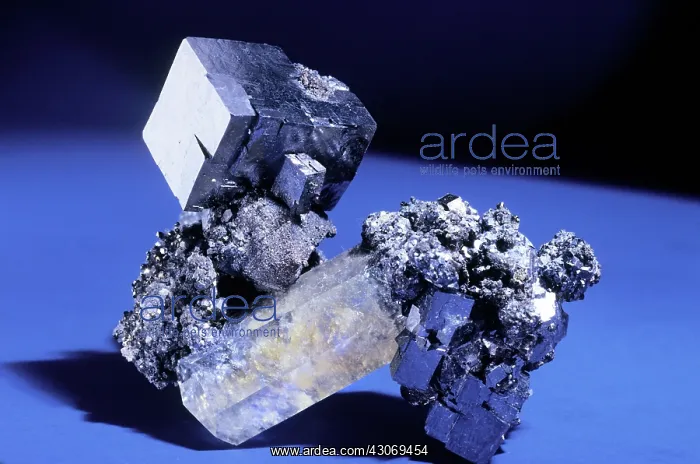 : Galena with calcite : Galena with calcite