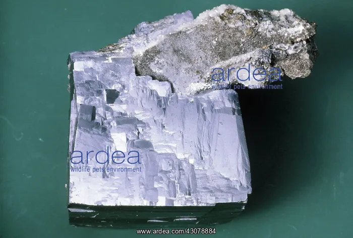 : Galena Crystal : Galena Crystal
