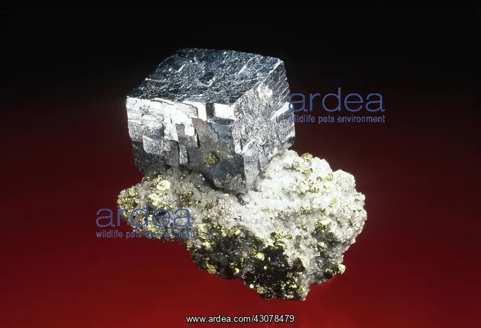  : Galena on dolomite with chalcopyrite
