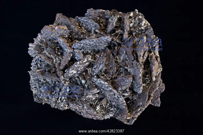 : Galena (PbS - lead sulfide) : Galena (PbS - lead sulfide)