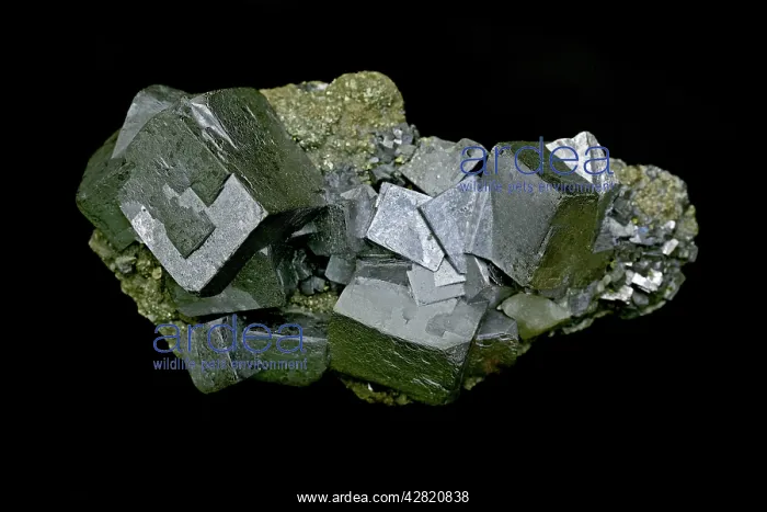 : Galena (PbS - lead sulfide) -The primary ore of lead : Galena (PbS - lead sulfide) -The primary ore of lead
