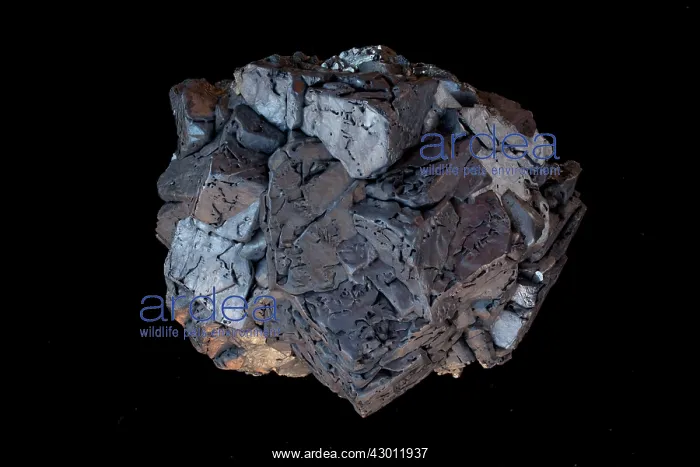 : Galena, PbS main ore mineral of lead : Galena, PbS main ore mineral of lead