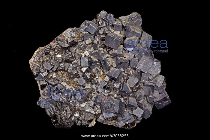 : Galena and Sphalerite the main ore minerals of lead : Galena and Sphalerite the main ore minerals of lead
