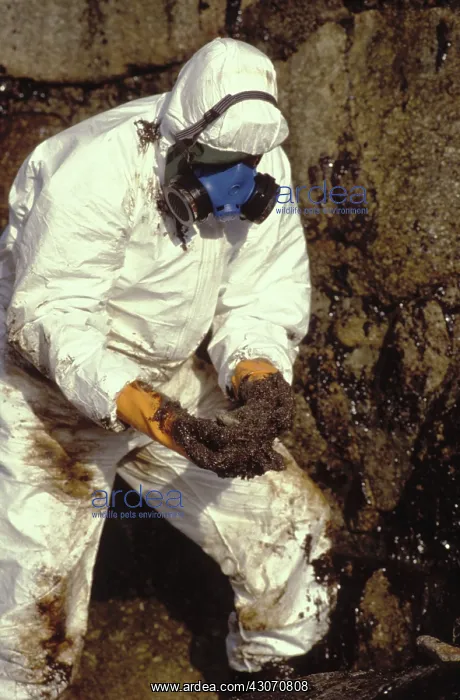 : Galicia Oil Spill : Galicia Oil Spill