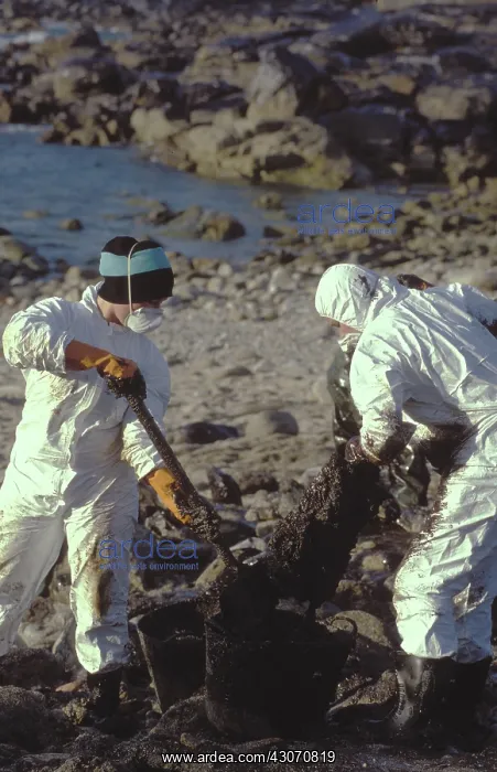 : Galicia Oil Spill : Galicia Oil Spill
