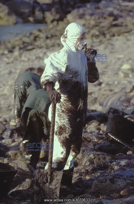 : Galicia Oil Spill : Galicia Oil Spill