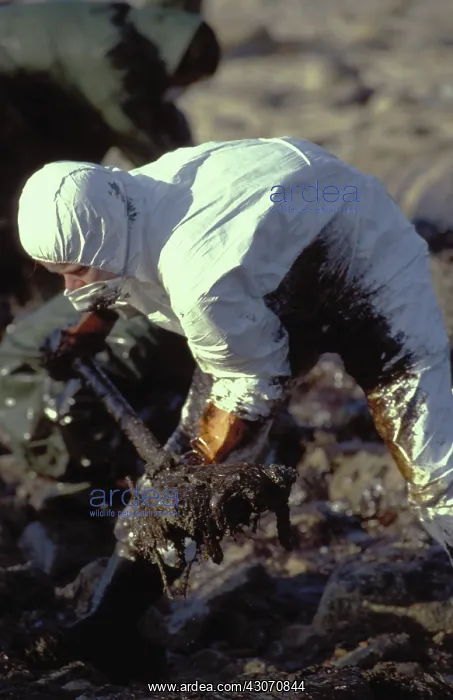 : Galicia Oil Spill : Galicia Oil Spill