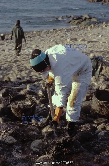 : Galicia Oil Spill : Galicia Oil Spill
