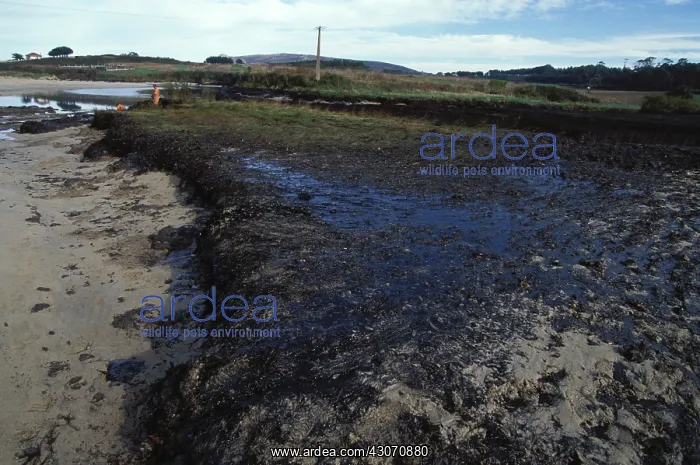 : Galicia Oil Spill : Galicia Oil Spill
