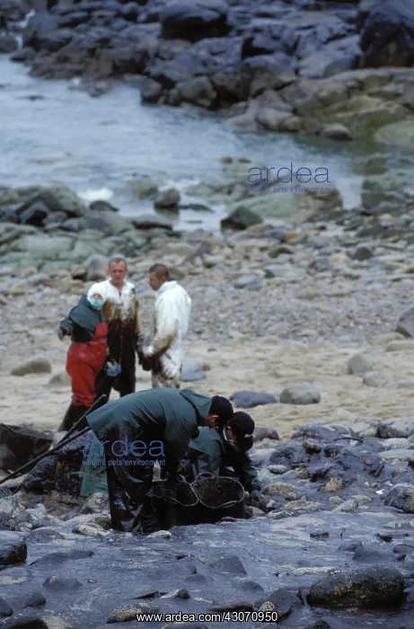 : Galicia Oil Spill : Galicia Oil Spill