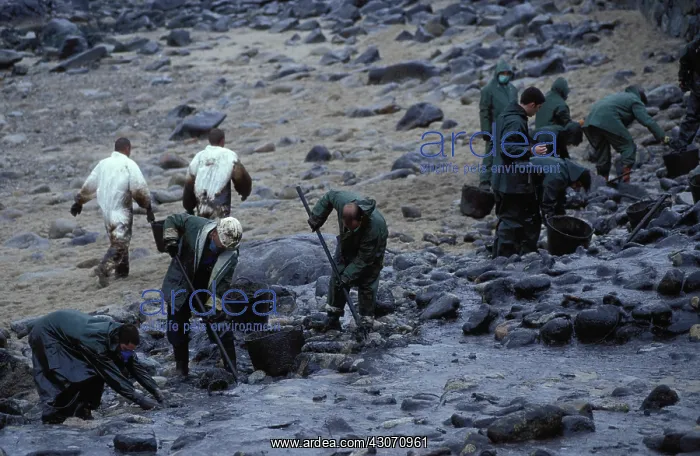 : Galicia Oil Spill : Galicia Oil Spill