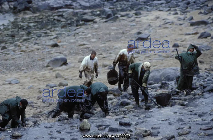 : Galicia Oil Spill : Galicia Oil Spill