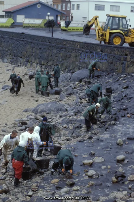 : Galicia Oil Spill : Galicia Oil Spill