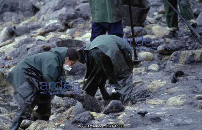 : Galicia Oil Spill : Galicia Oil Spill