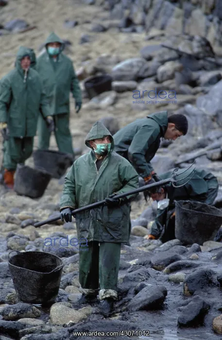 : Galicia Oil Spill : Galicia Oil Spill