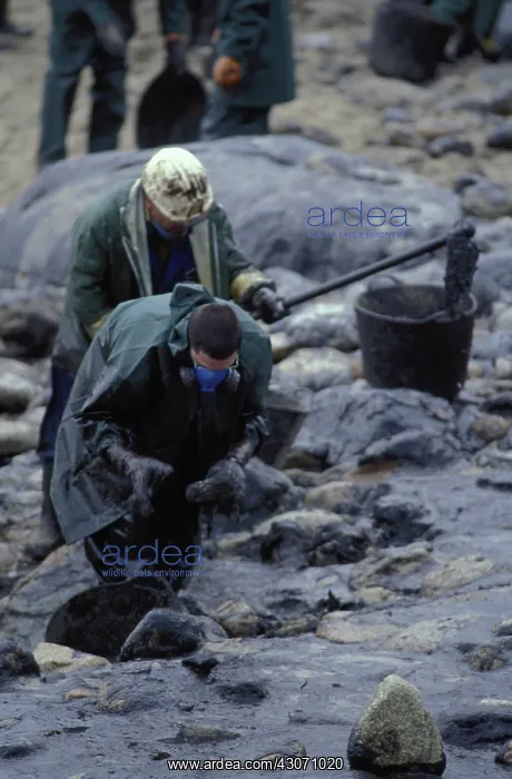 : Galicia Oil Spill : Galicia Oil Spill
