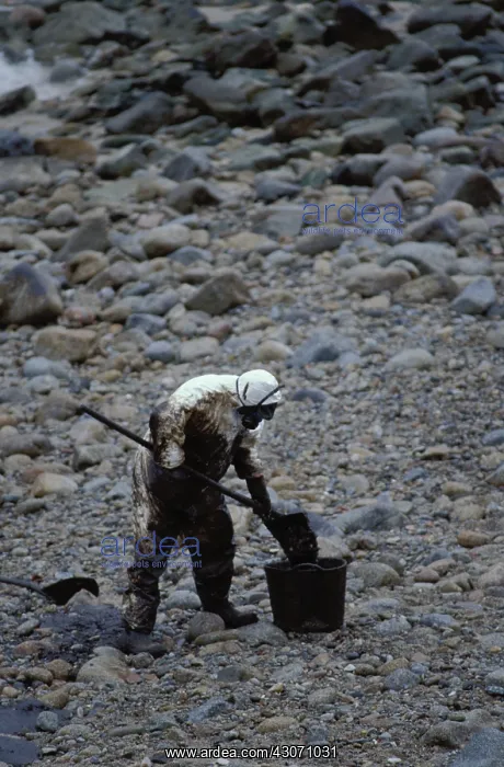 : Galicia Oil Spill : Galicia Oil Spill