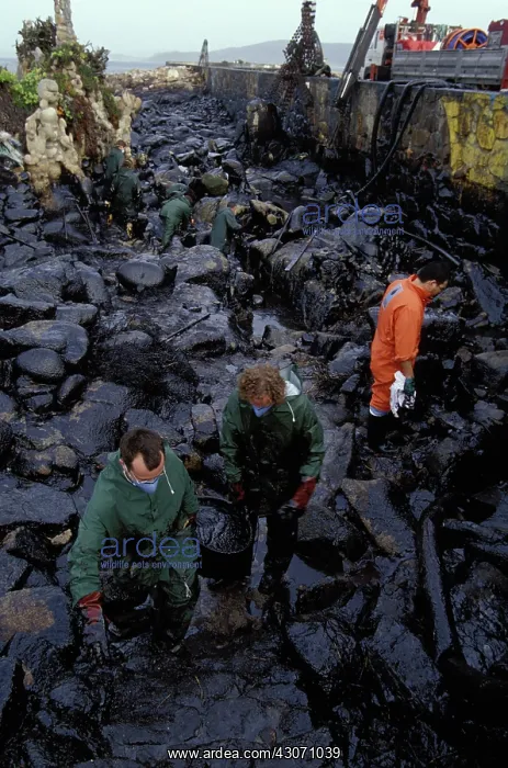 : Galicia Oil Spill : Galicia Oil Spill