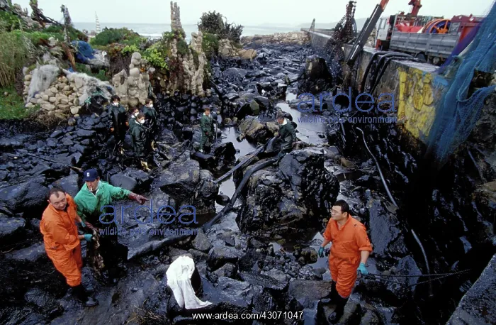: Galicia Oil Spill : Galicia Oil Spill