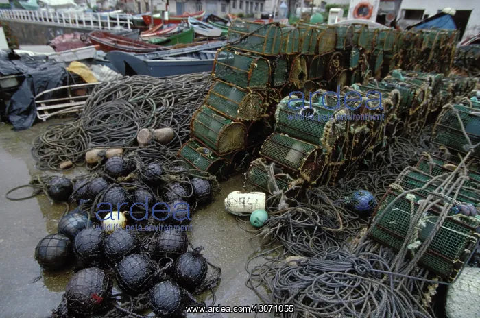 : Galicia Oil Spill : Galicia Oil Spill