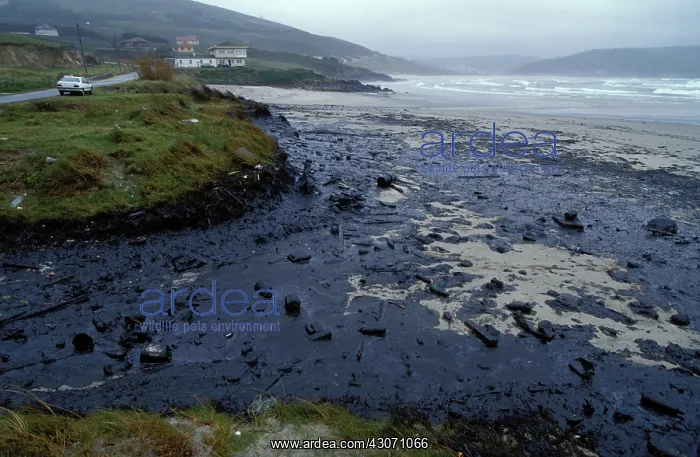  : Galicia Oil Spill