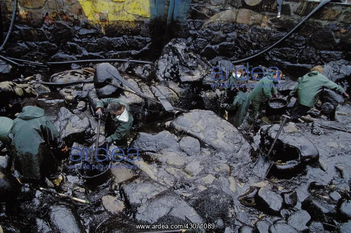 : Galicia Oil Spill : Galicia Oil Spill
