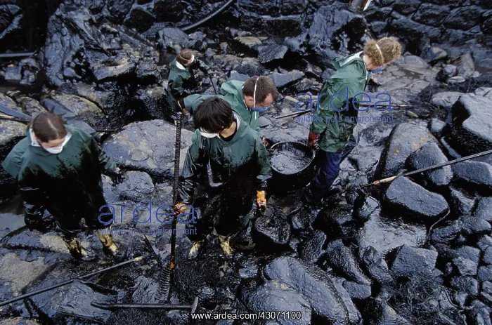 : Galicia Oil Spill : Galicia Oil Spill