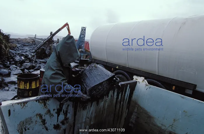 : Galicia Oil Spill : Galicia Oil Spill