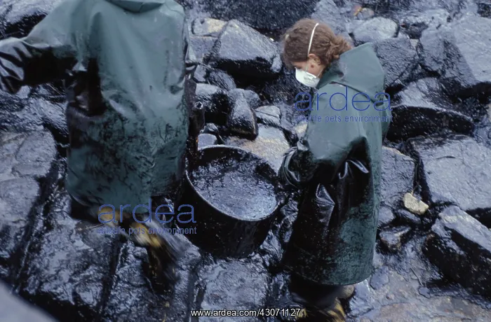 : Galicia Oil Spill : Galicia Oil Spill