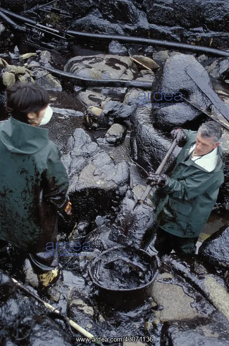 : Galicia Oil Spill : Galicia Oil Spill