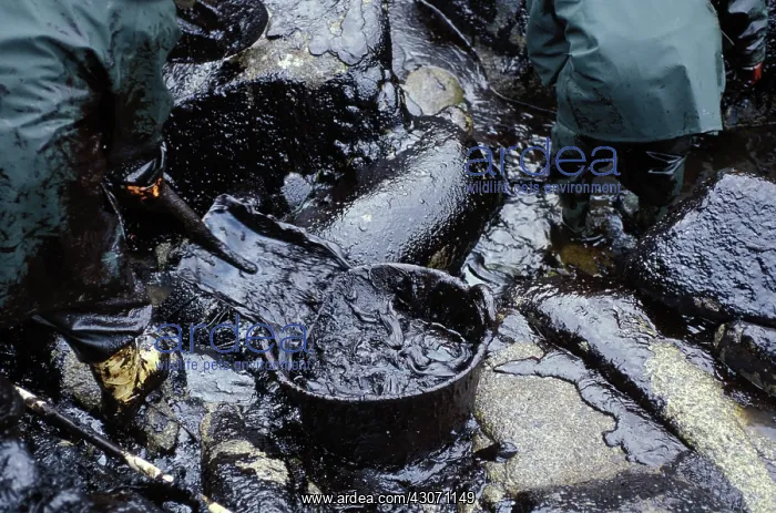 : Galicia Oil Spill : Galicia Oil Spill