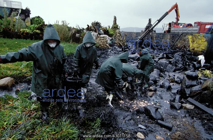 : Galicia Oil Spill : Galicia Oil Spill
