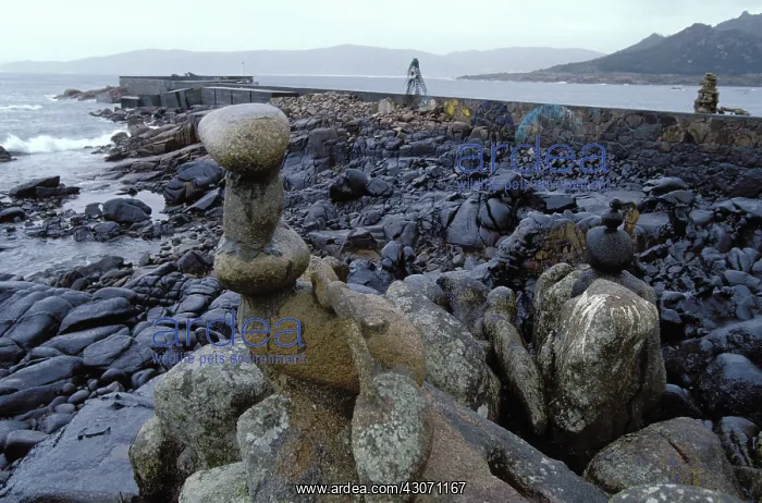 : Galicia Oil Spill : Galicia Oil Spill