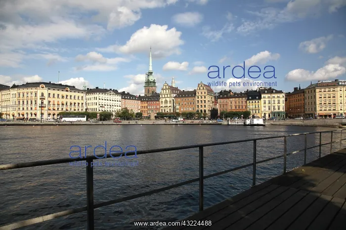 : Gamla Stan the old town center of Stockholm : Gamla Stan the old town center of Stockholm