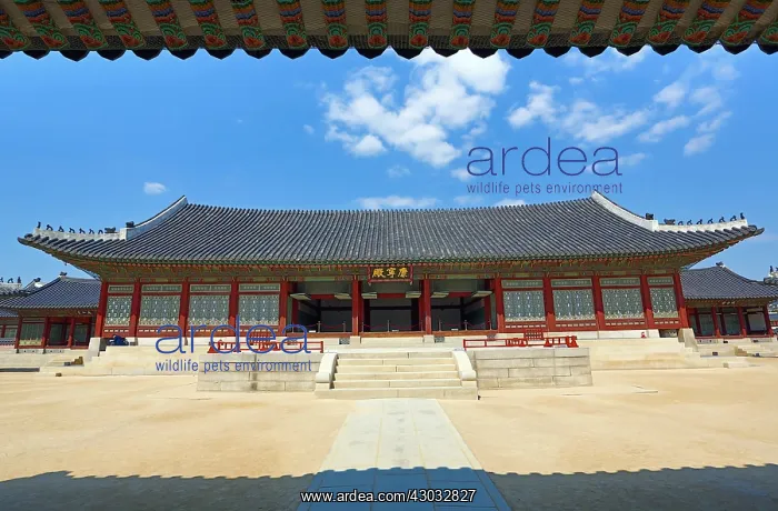 : Gangnyeongjeon Hall at Gyeongbokgung Palace in Seoul, Korea : Gangnyeongjeon Hall at Gyeongbokgung Palace in Seoul, Korea
